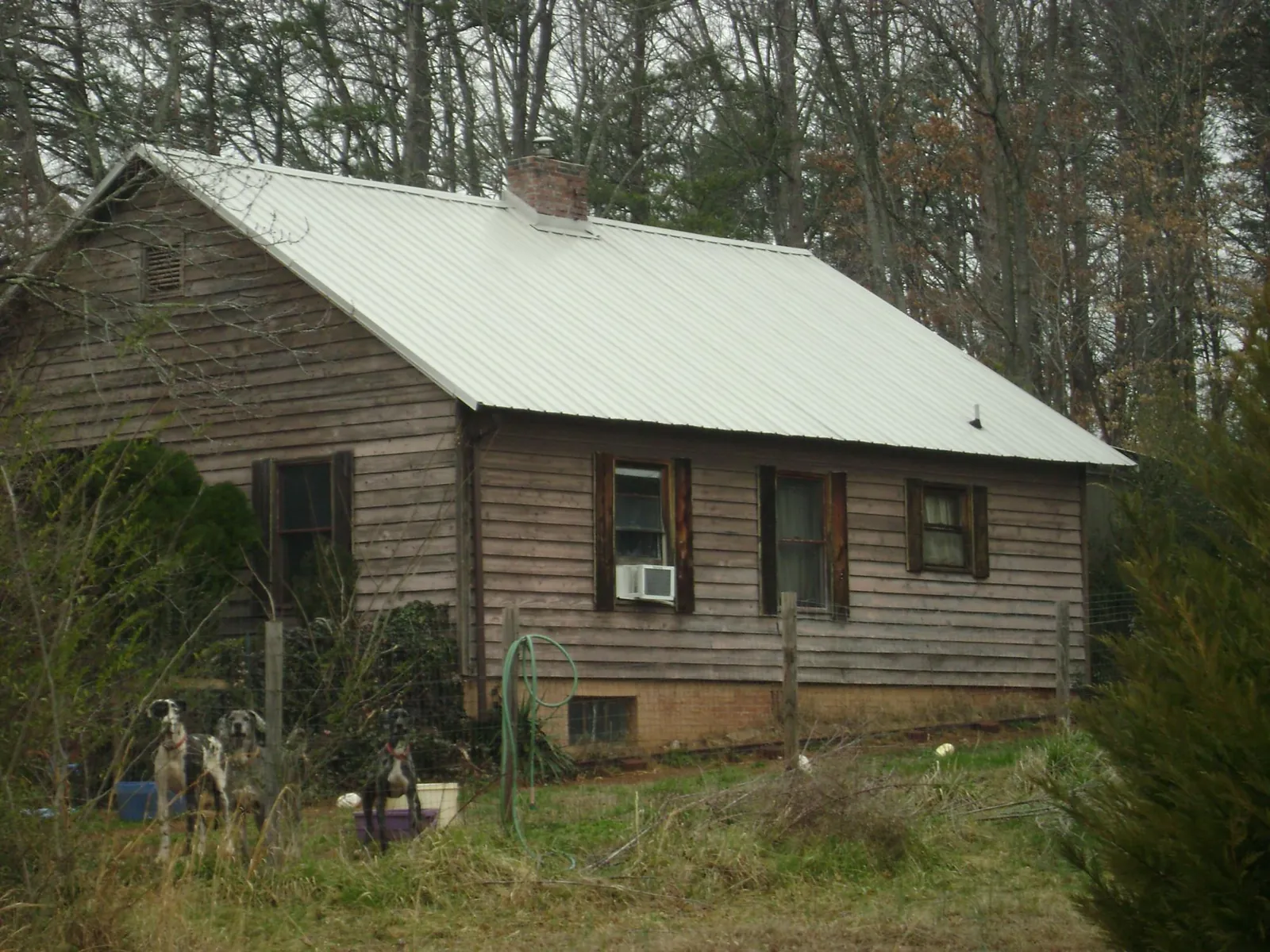 White metal roof on an old wood sided farmhouse, from a Asphalt Shingle Roof Repair job in Ouray